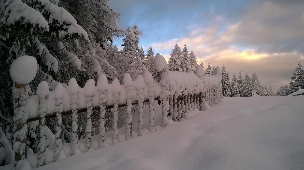 Hotel Sole Family Hotel Predazzo Zewnętrze zdjęcie