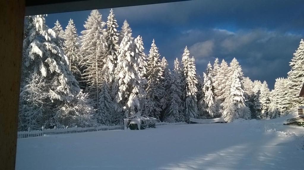 Hotel Sole Family Hotel Predazzo Zewnętrze zdjęcie